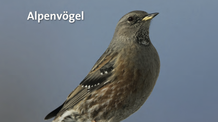 © Landesbank für Vogel- und Naturschutz