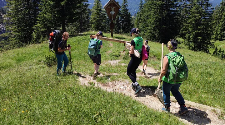 Wegbereitung: Menschen tragen gemeinsam einen Baumstamm über eine Wiese | © DAV
